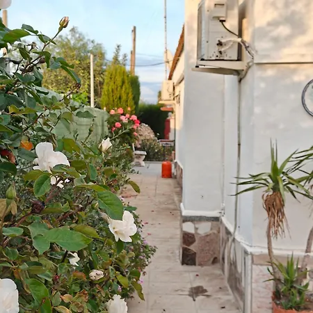 Charm Quiet Valencia With Private Pool Lliria